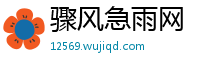 骤风急雨网